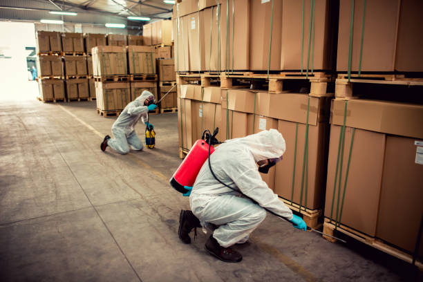 Best Affordable Pest Control Services  in Buda, TX