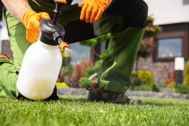 Best Emergency Pest Control  in Buda, TX