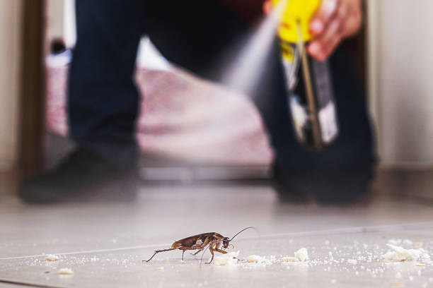 Best Residential Pest Control  in Buda, TX