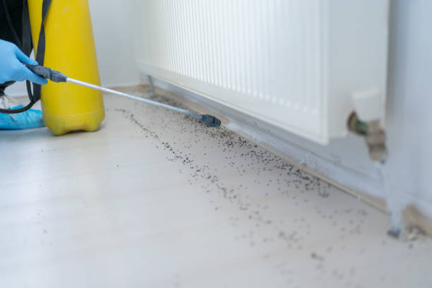 Best Wildlife Control Services  in Buda, TX