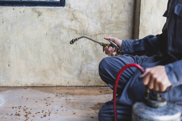 Best Commercial Pest Control Services  in Buda, TX